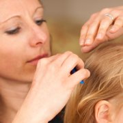 Precisely-how-to-manage-head-lice-at-your-childs-daycare-in-Omaha-NE
